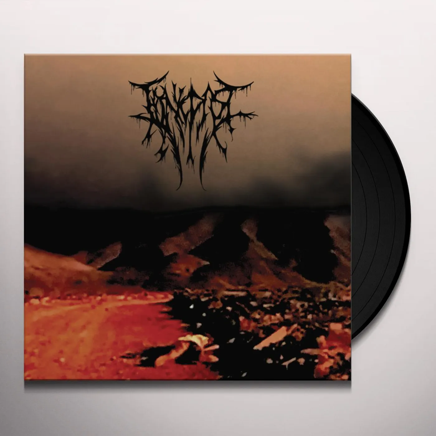 Edenic Past Red Amarcord Vinyl Record