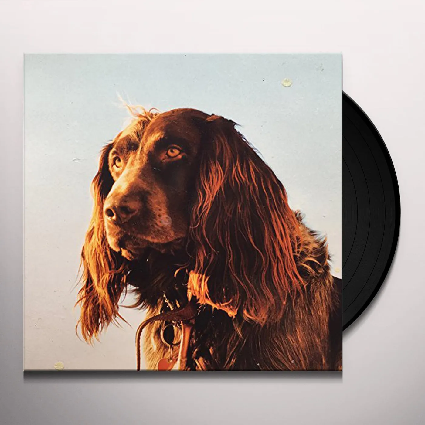 Peter Kernel SIZE OF THE NIGHT Vinyl Record