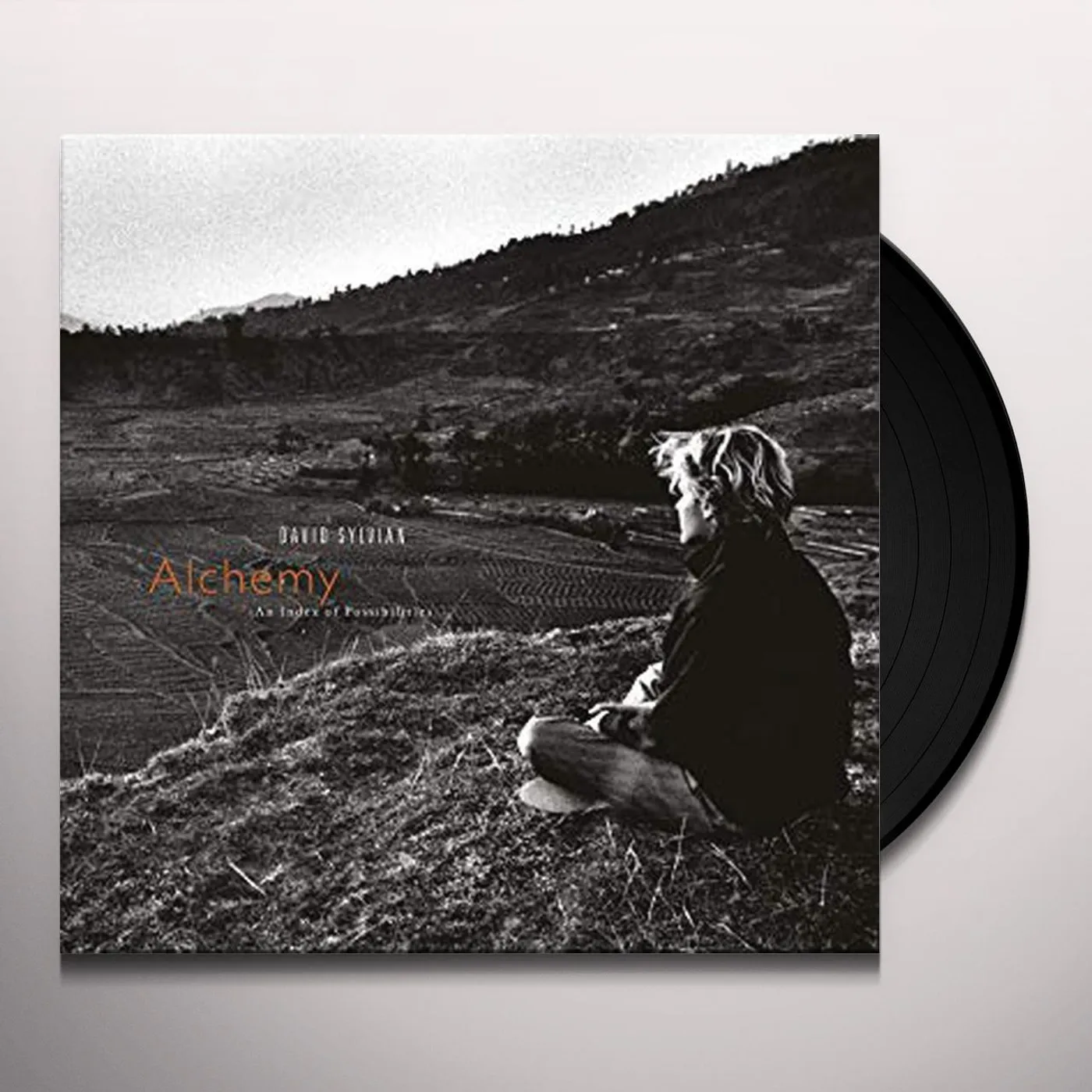David Sylvian ALCHEMY: AN INDEX OF POSSIBILITIES Vinyl Record
