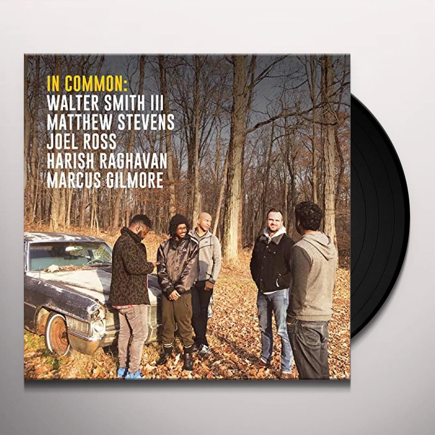 Matthew Stevens In Common Vinyl Record