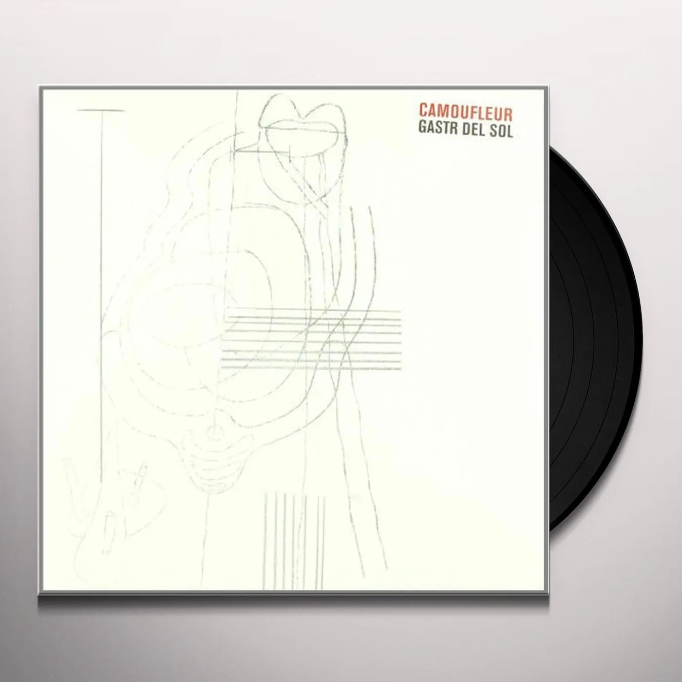 Gastr Del Sol Camoufleur Vinyl Record