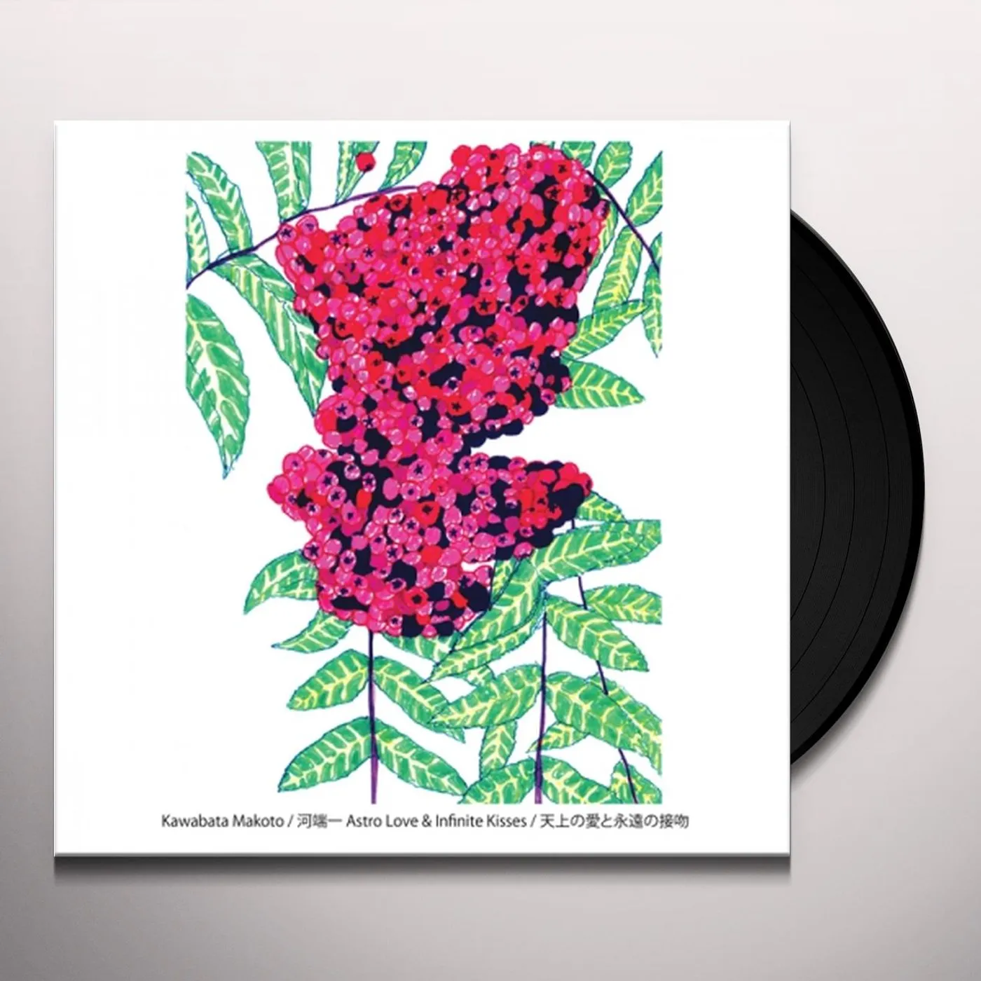 Kawabata Makoto Astro Love & Infinite Kisses Vinyl Record