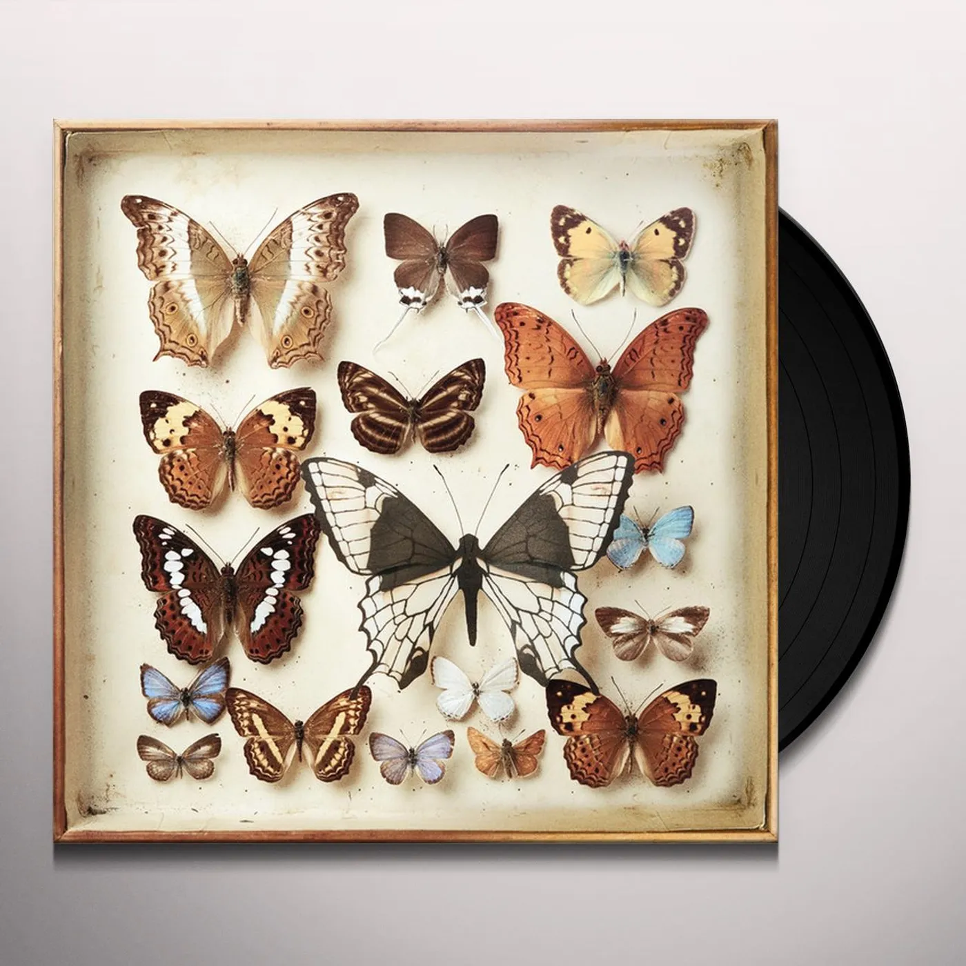 Emilíana Torrini Rarities Vinyl Record