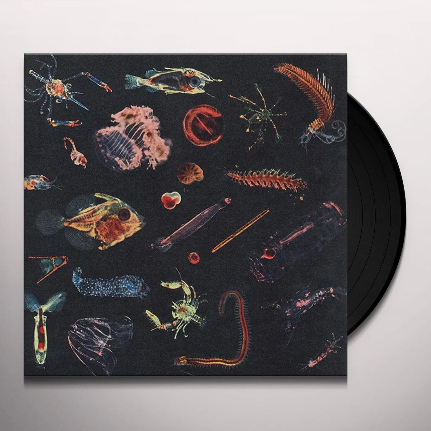 Alessandro Fiori Plancton Vinyl Record
