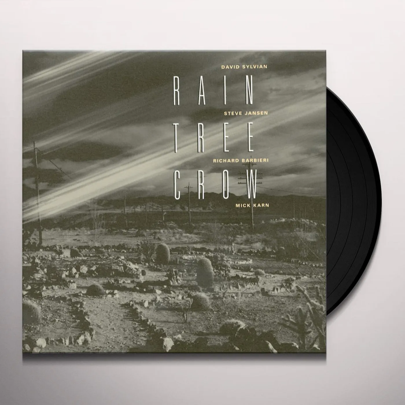 Rain Tree Crow Vinyl Record