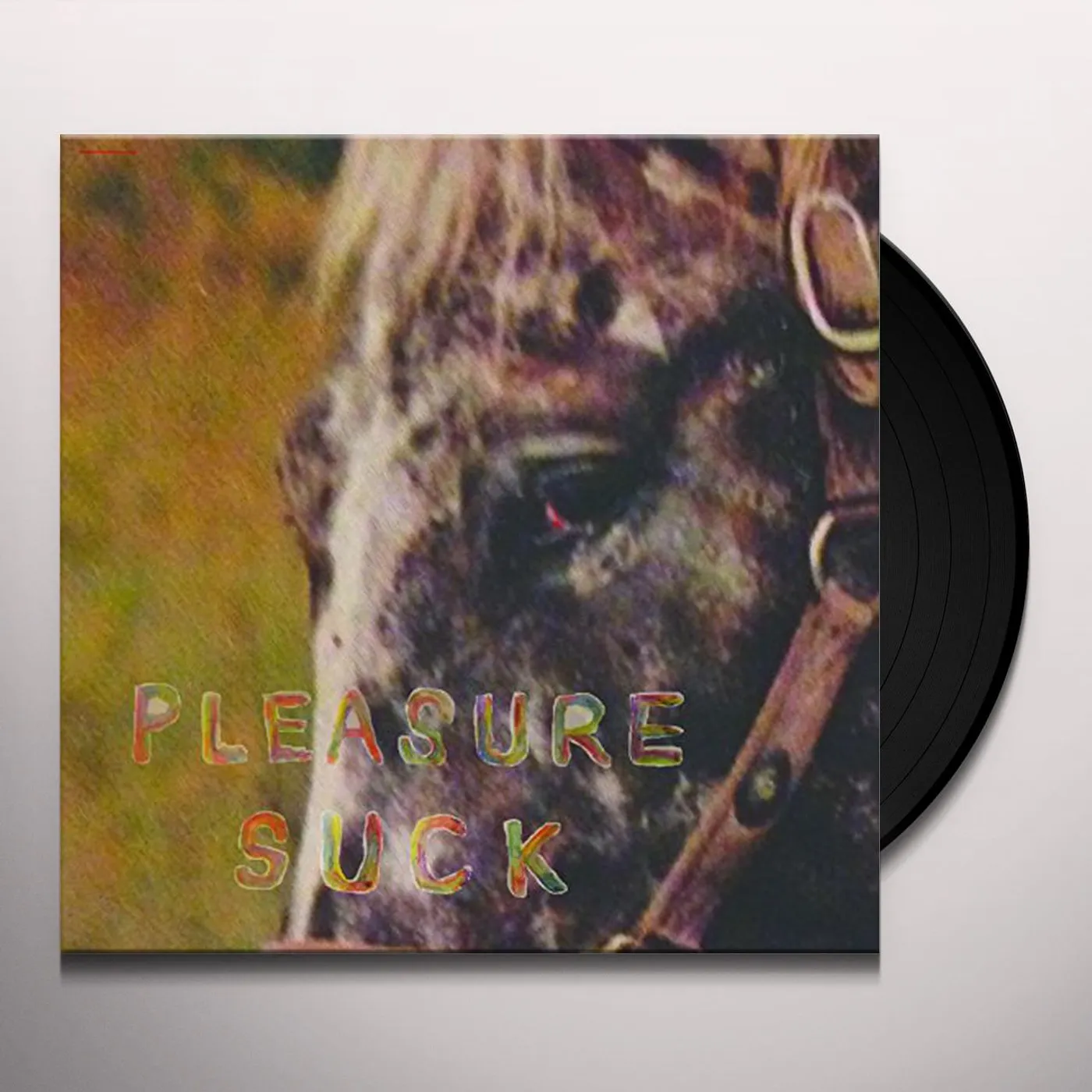SPIRIT OF THE BEEHIVE pleasure suck Vinyl Record