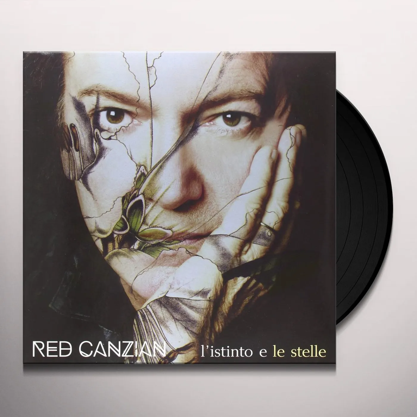 Red Canzian L'istinto e le stelle Vinyl Record