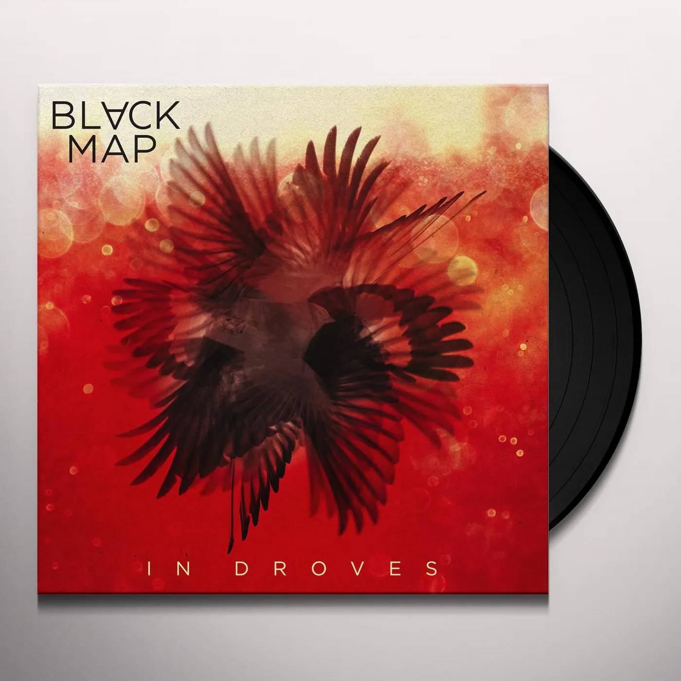 Black Map In Droves Vinyl Record