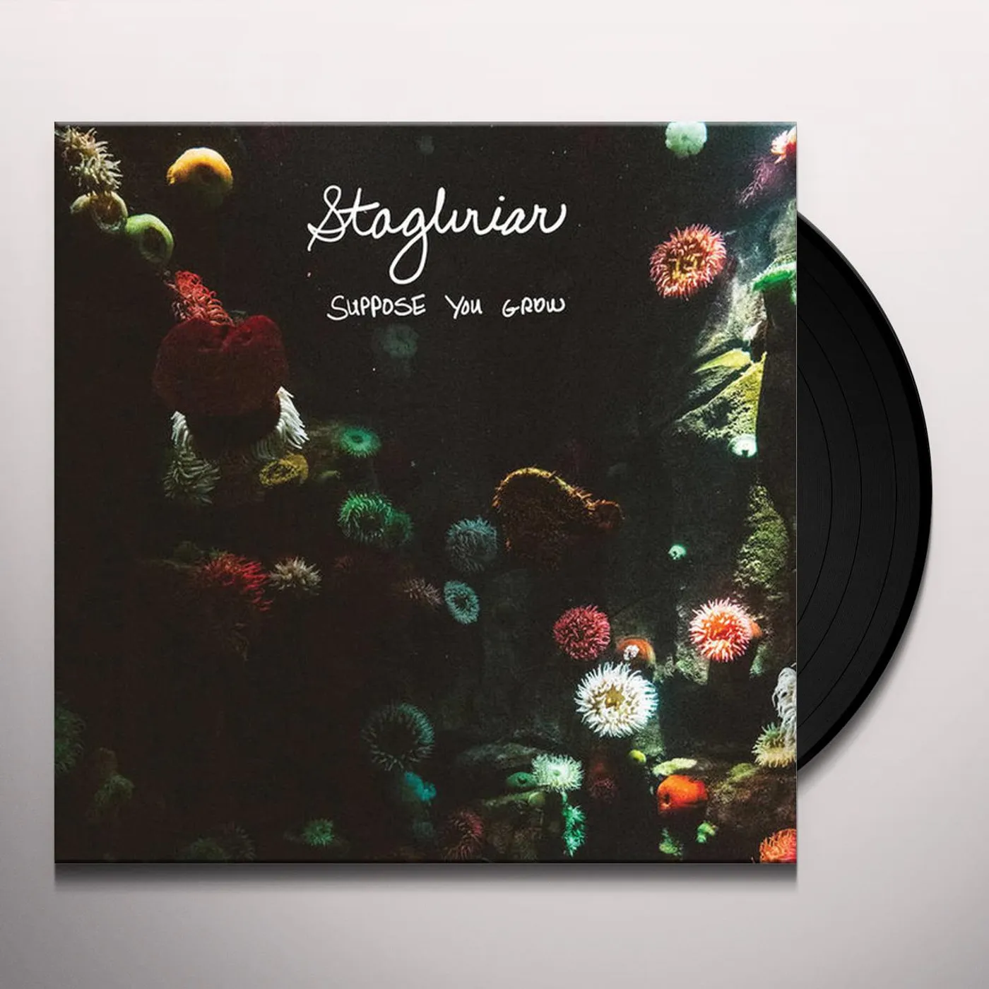 Stagbriar Suppose You Grow Vinyl Record