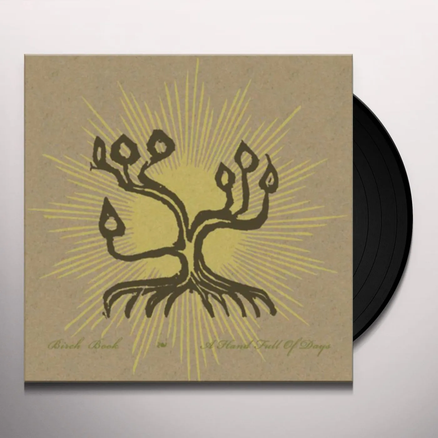 Birch Book HAND FULL OF DAYS Vinyl Record