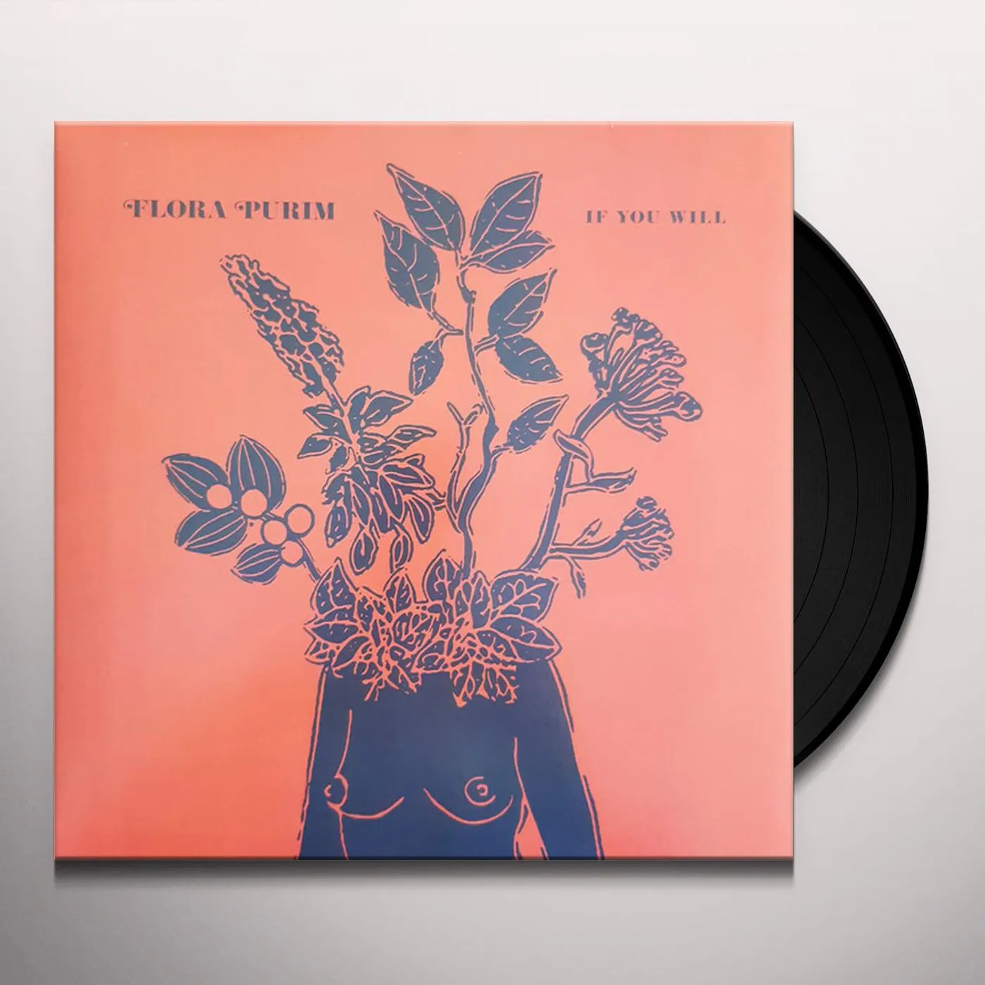 Flora Purim Flora E MPM Vinyl Record