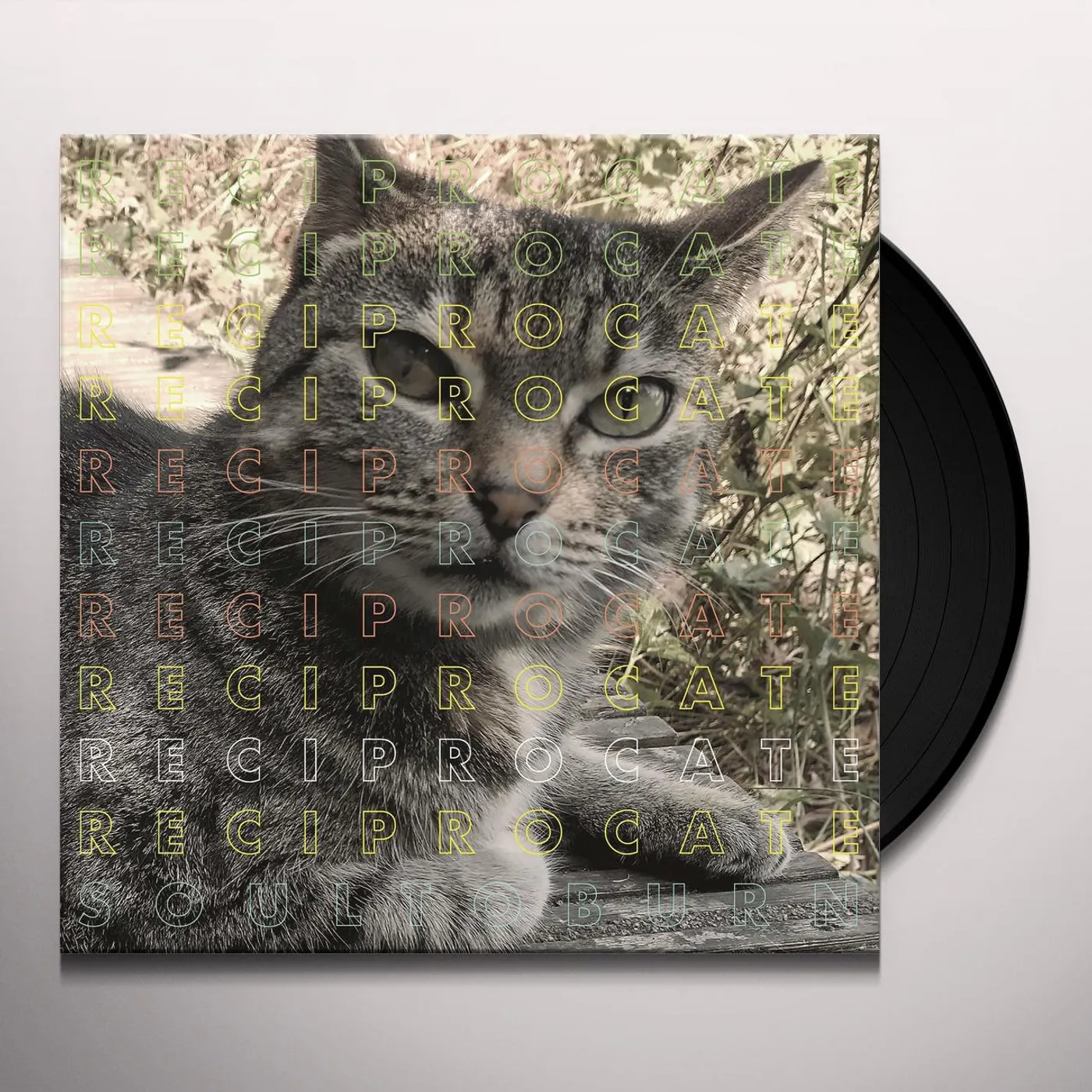 Reciprocate SOUL TO BURN Vinyl Record