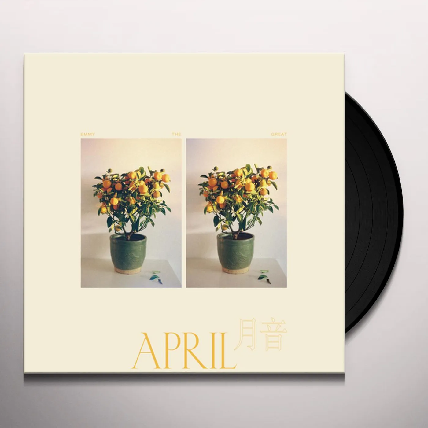 Emmy The Great APRIL Vinyl Record