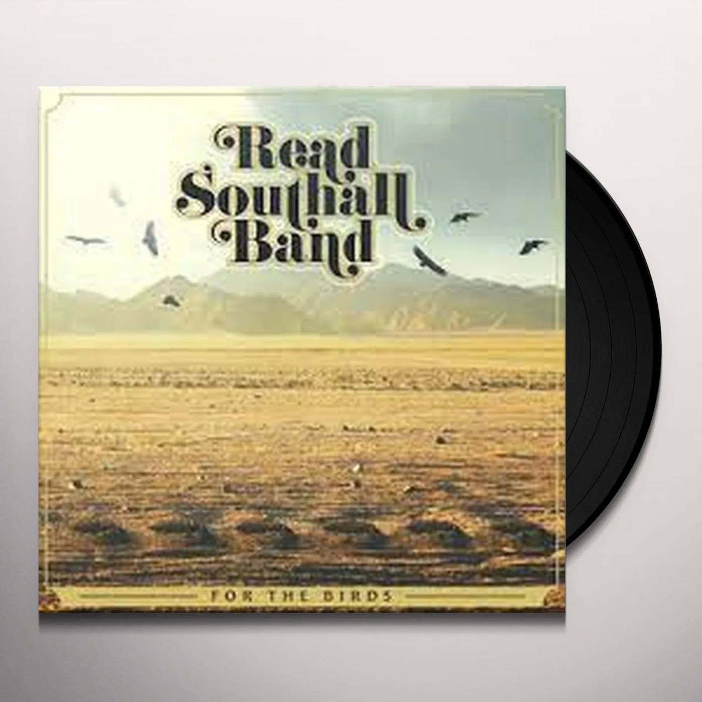Read Southall Band For The Birds Vinyl Record