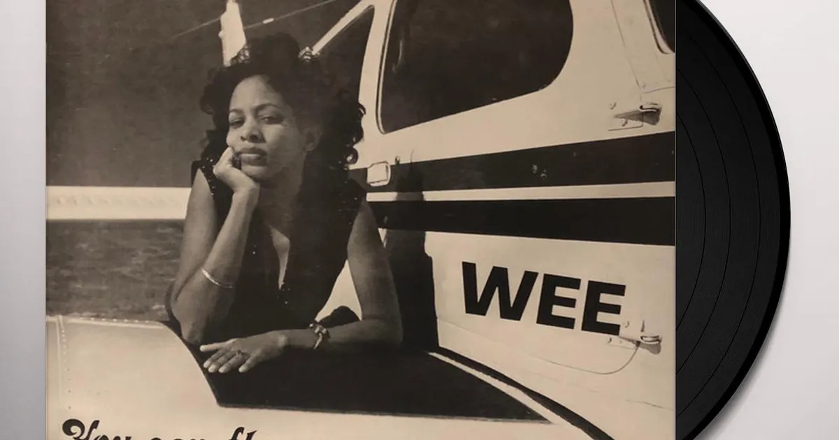 新品未開封Wee ‎You Can Fly On My Aeroplane LP Wee - You Can Fly On My Aeroplane (LP) 825764603515| eBay