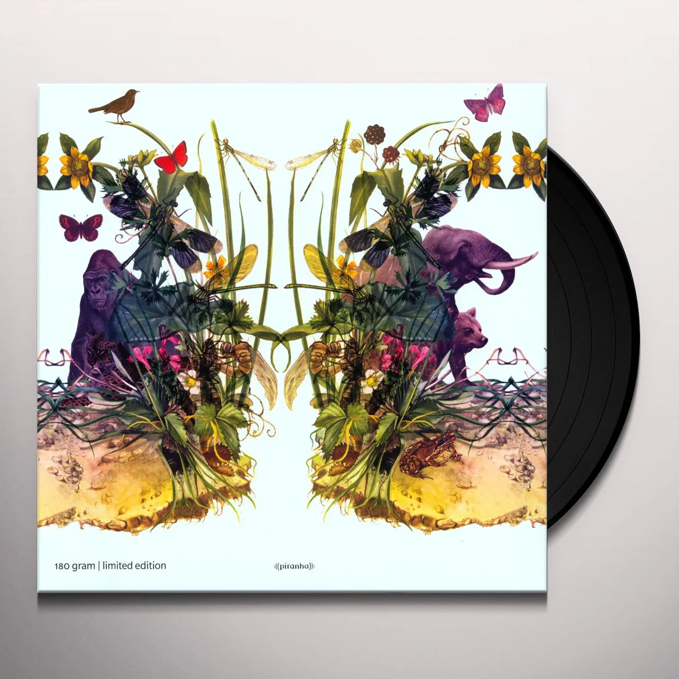 Dunkelbunt RAINDROPS & ELEPHANTS Vinyl Record