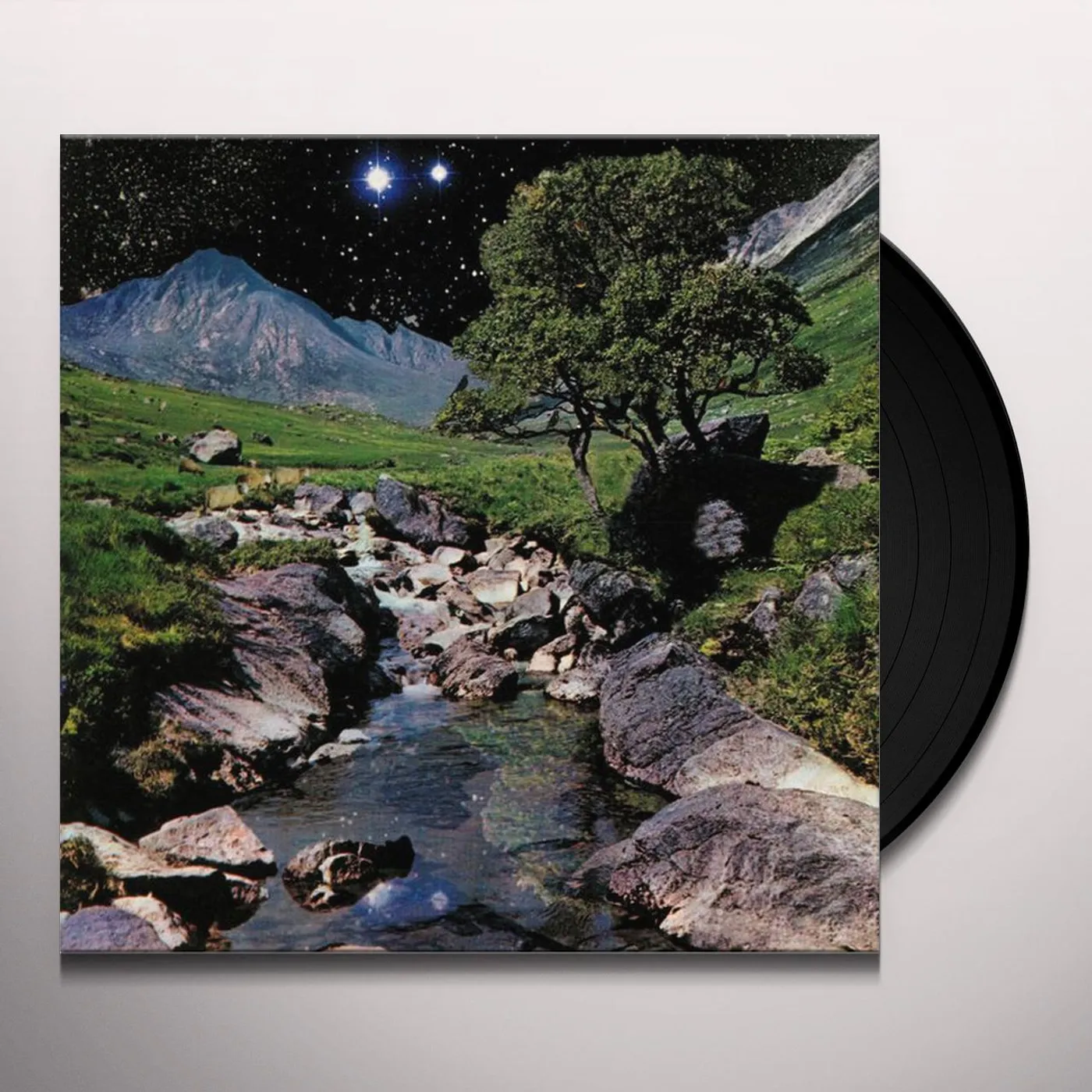 The Beta Band Vinyl Record