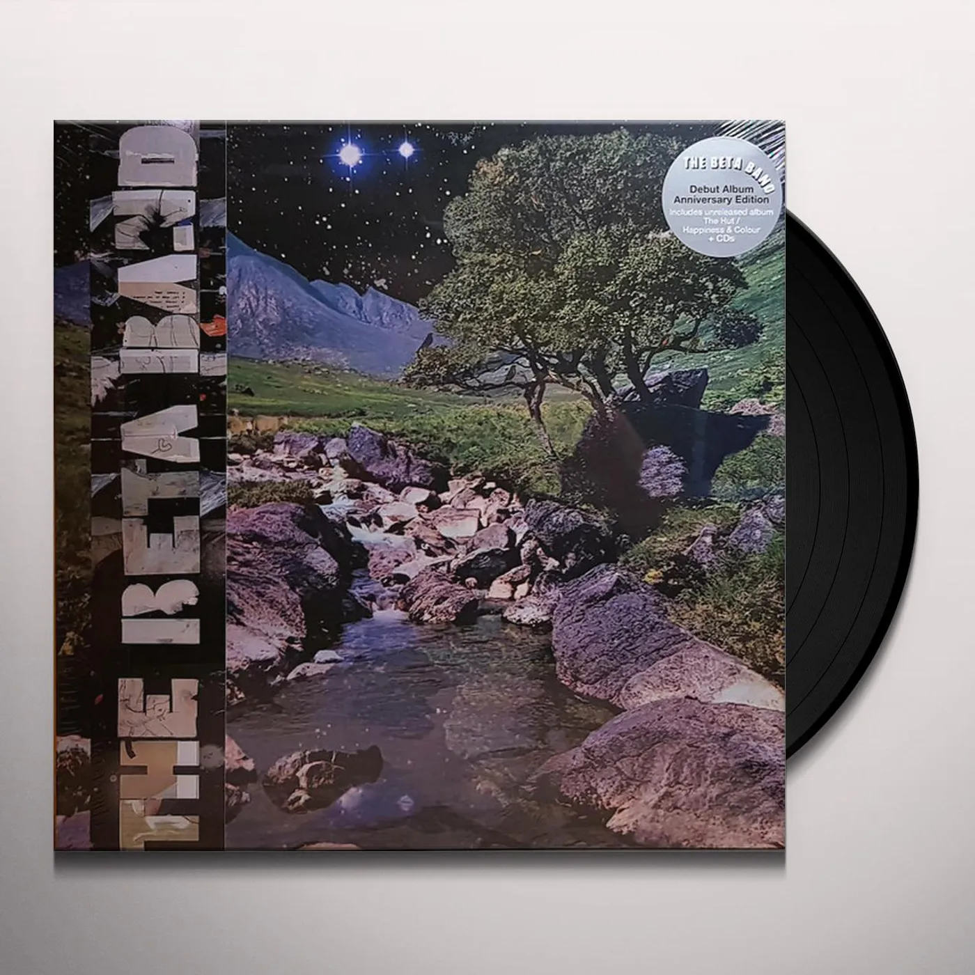 The Beta Band Vinyl Record
