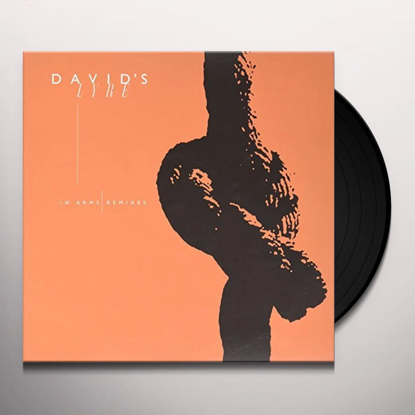 David's Lyre IN ARMS Vinyl Record