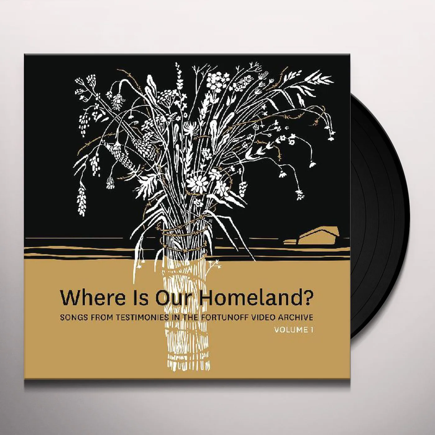 Zisl Slepovitch / Sasha Lurje WHERE IS OUR HOMELAND? SONGS FROM TESTIMONIES Vinyl Record