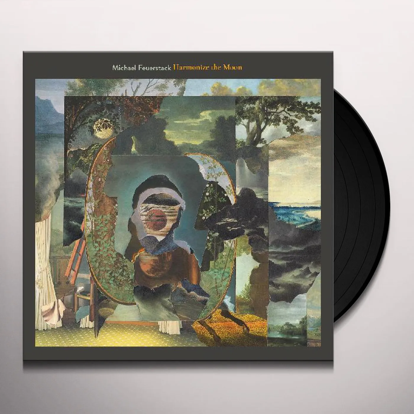 Michael Feuerstack Harmonize the Moon Vinyl Record
