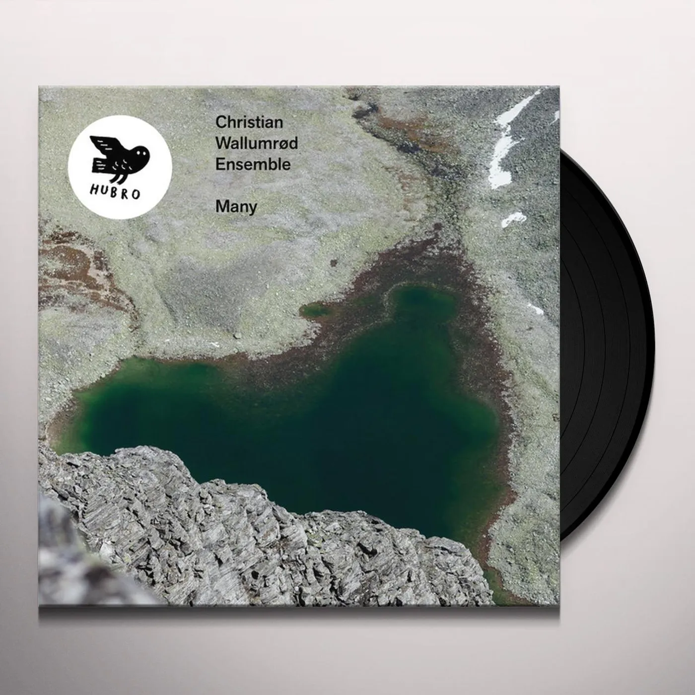 Christian Ensemble Wallumrod Many Vinyl Record