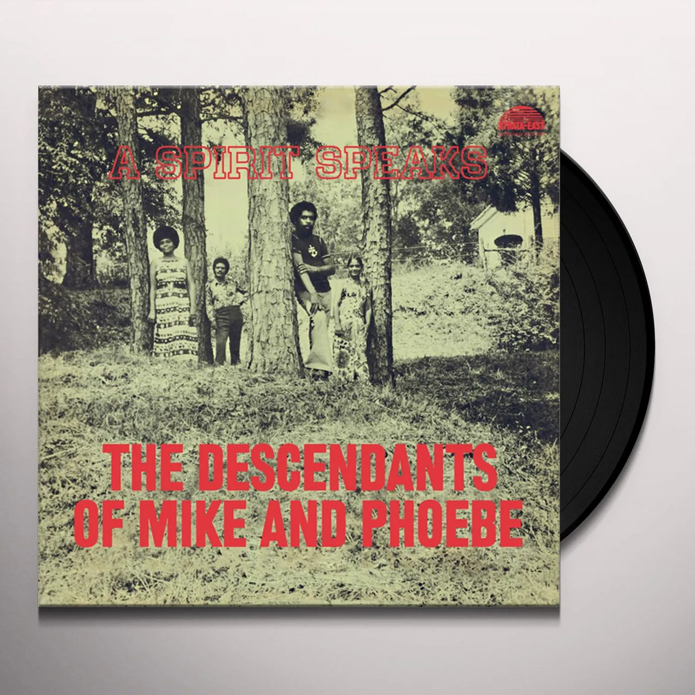 Descendants Of Mike & Phoebe SPIRITS SPEAK Vinyl Record