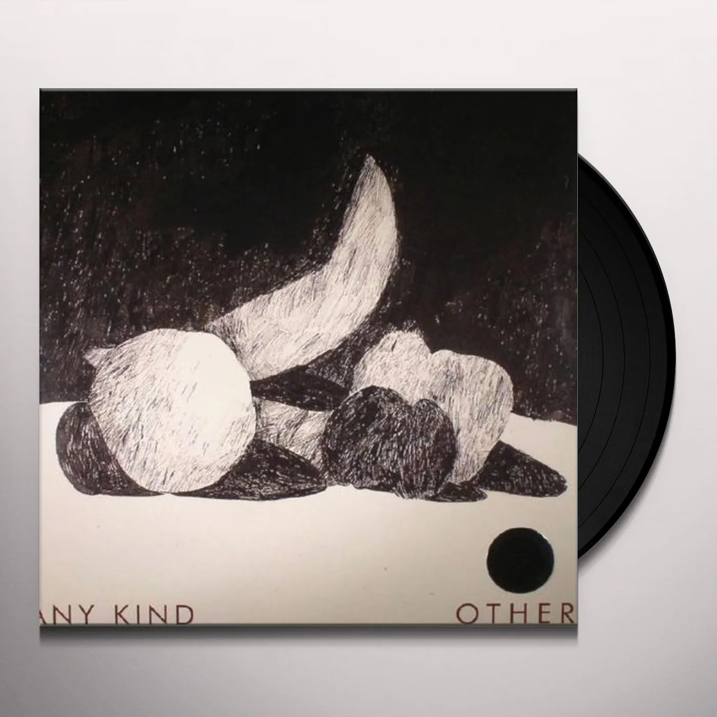 Any Kind Other Vinyl Record