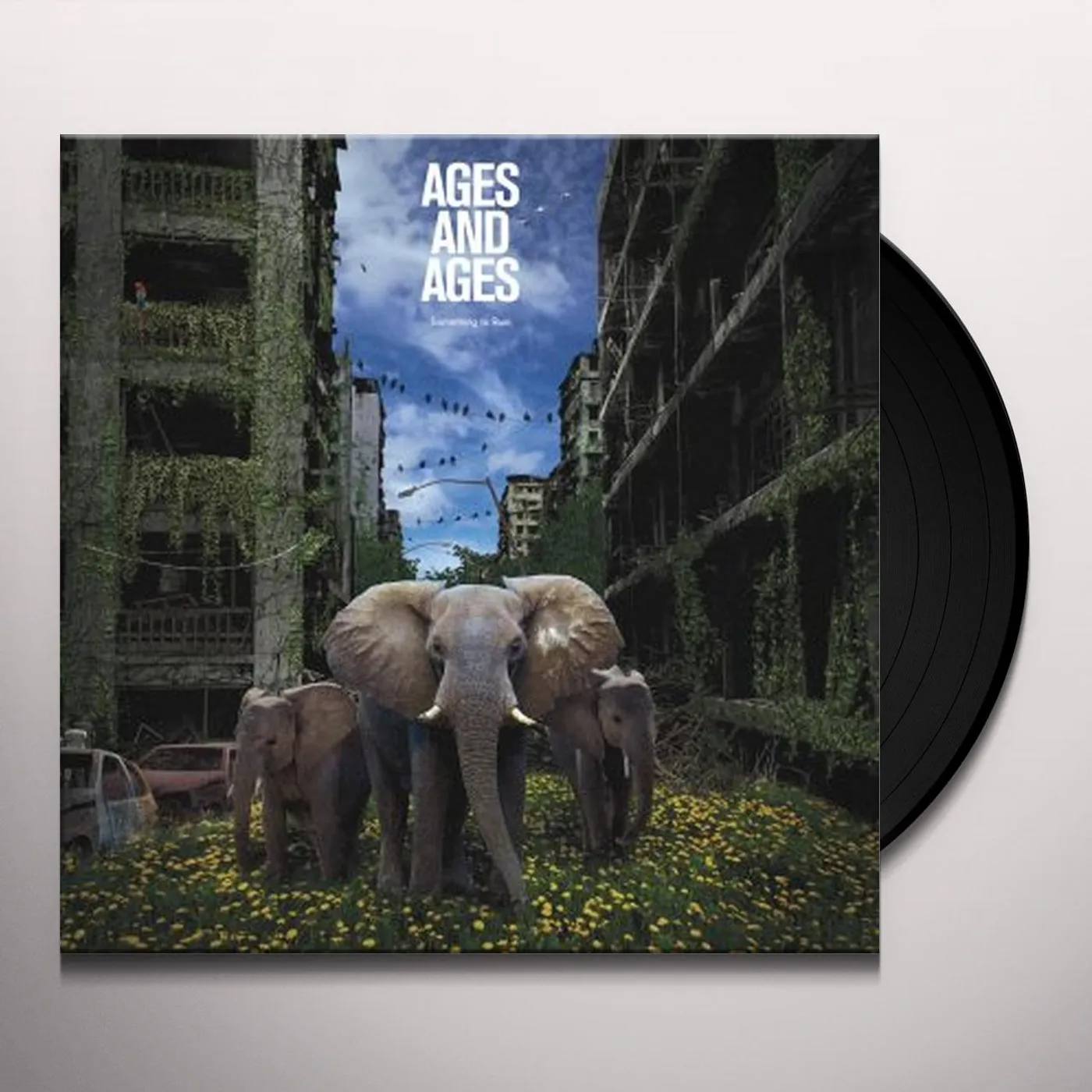 Ages and Ages Something To Ruin Vinyl Record