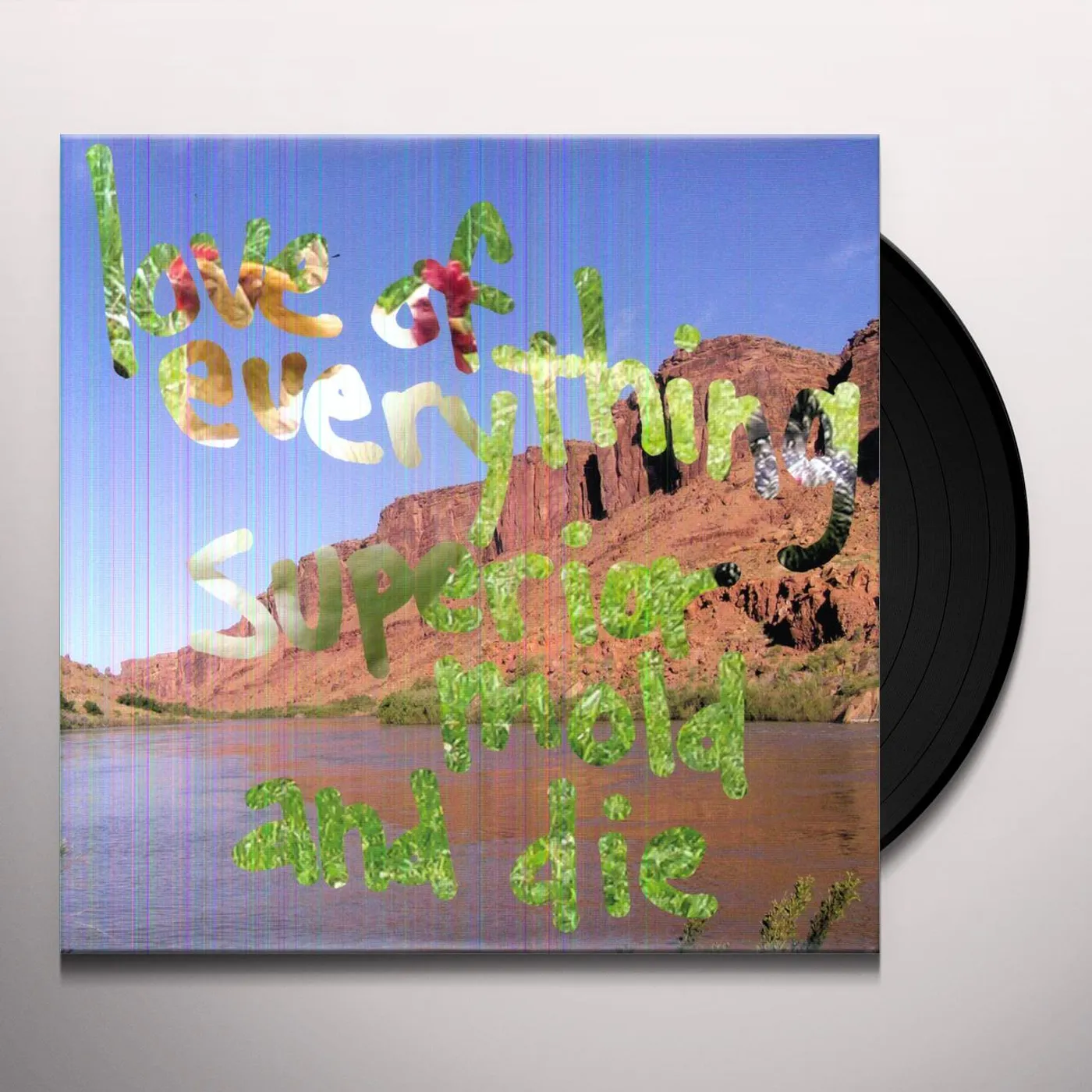 Love of Everything SUPERIOR MOLD & DIE (Vinyl)
