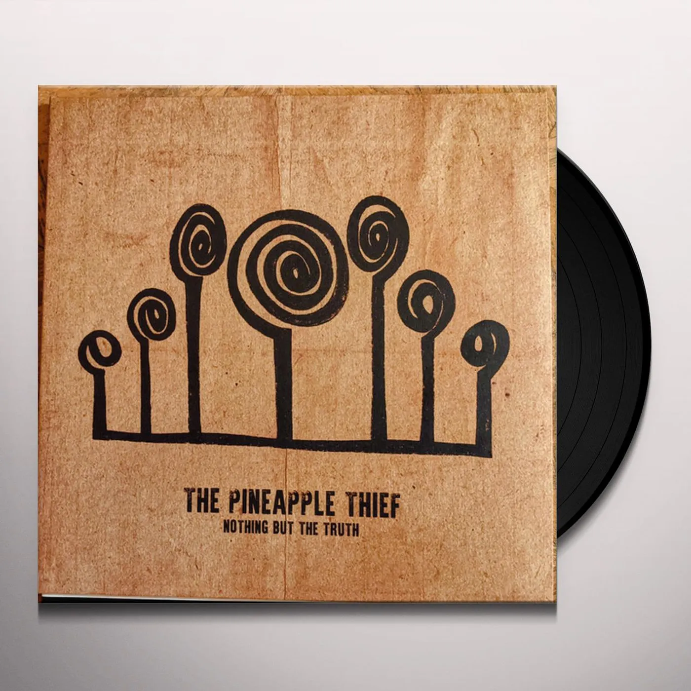 The Pineapple Thief Nothing But The Truth Vinyl Record