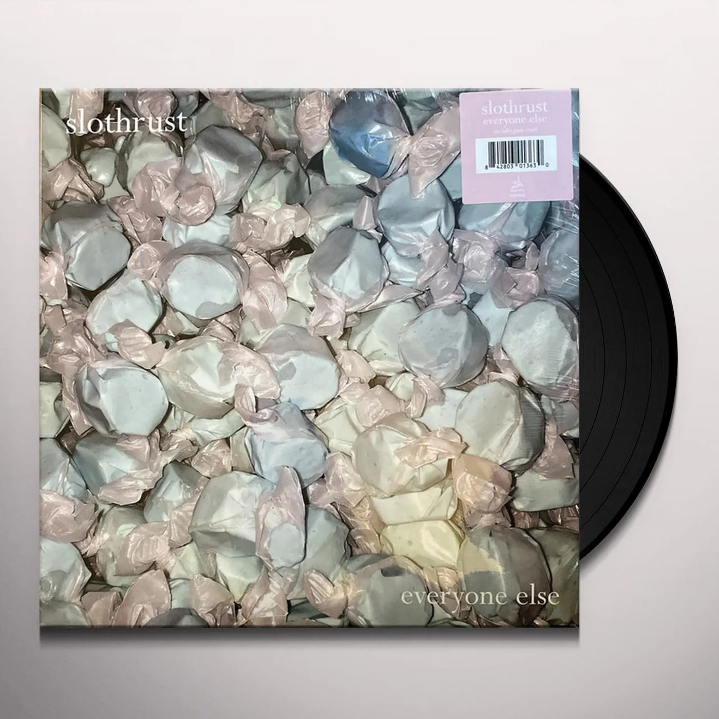 Slothrust Everyone Else Vinyl Record