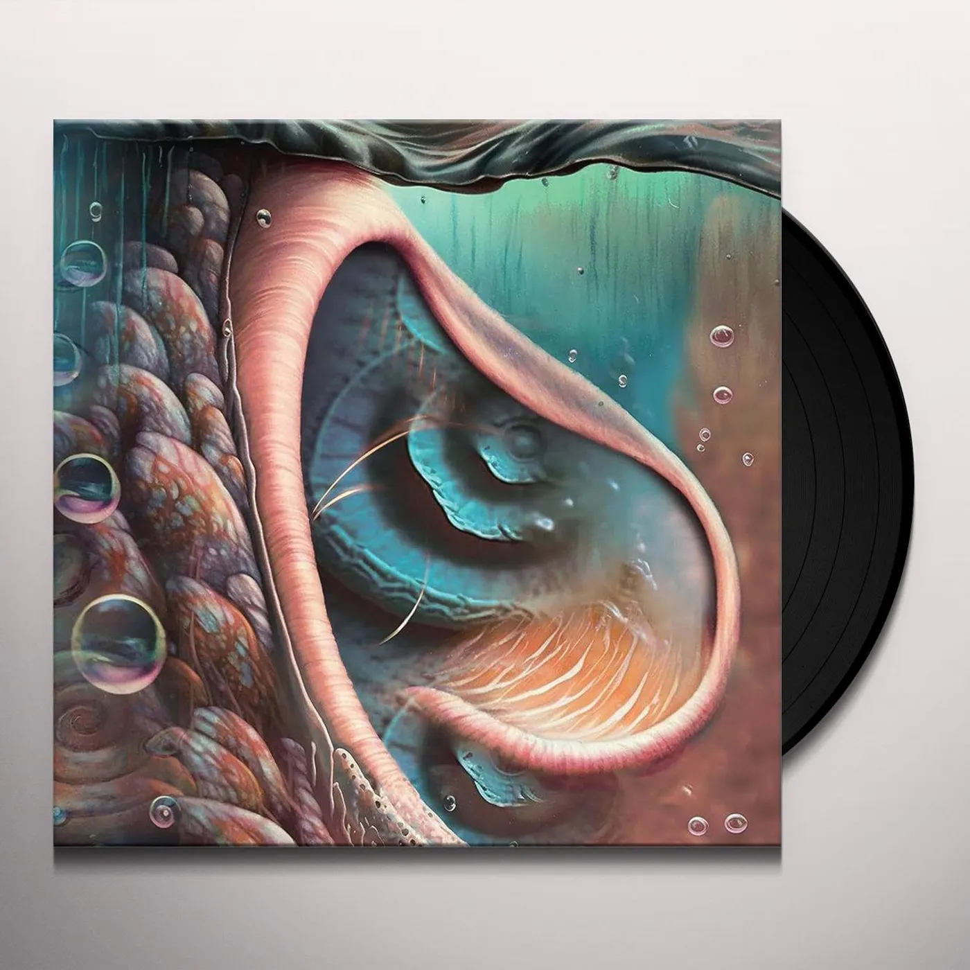  Meddle Reimgained - A Tribute To Pink Floyd / Var Vinyl Record