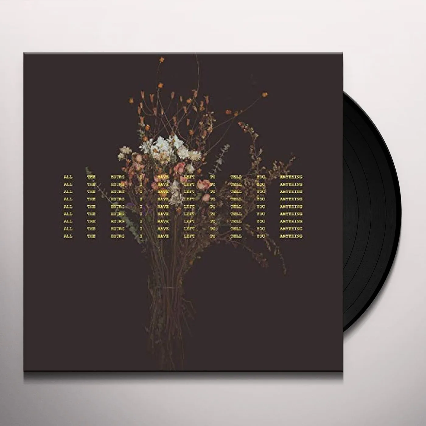 Sarah MacDougall All the Hours I Have Left to Tell You Anything Vinyl Record