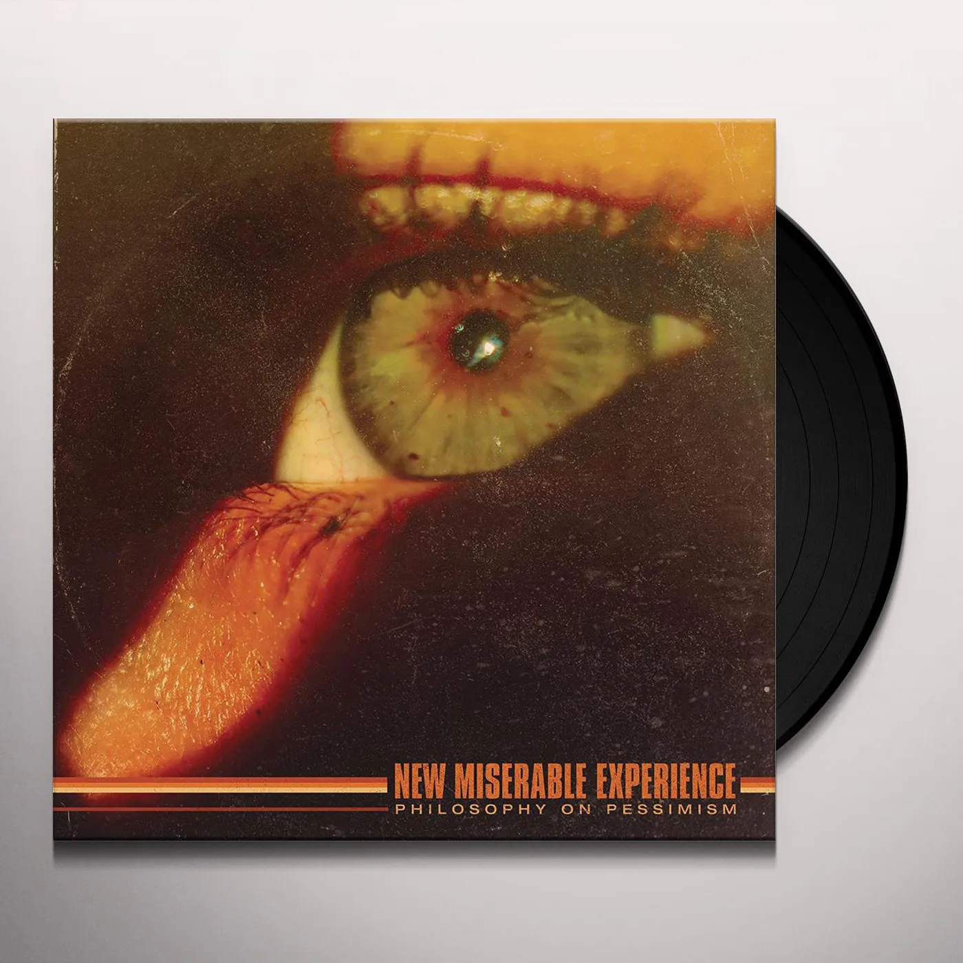 New Miserable Experience PHILOSOPHY ON PESSIMISM Vinyl Record