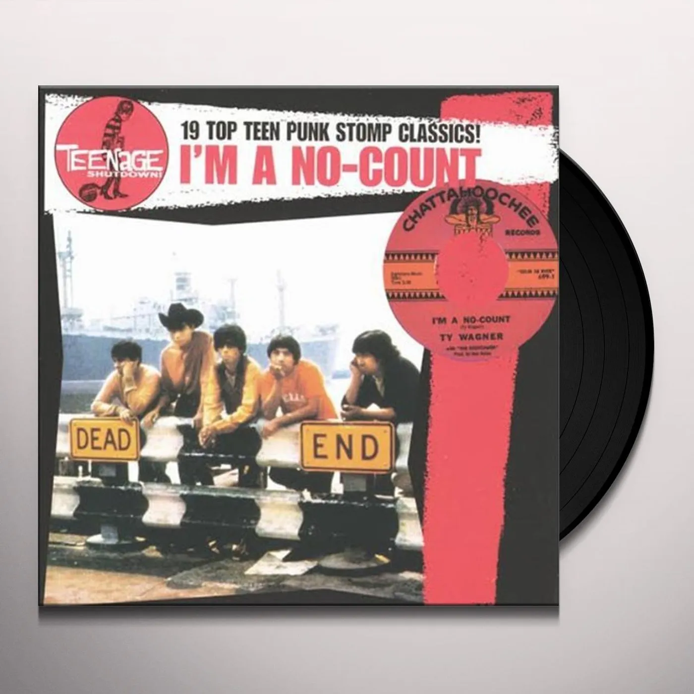 I'M A NO-COUNT 19 TOP TEEN PUNK STOMP CLASSICS! Vinyl Record