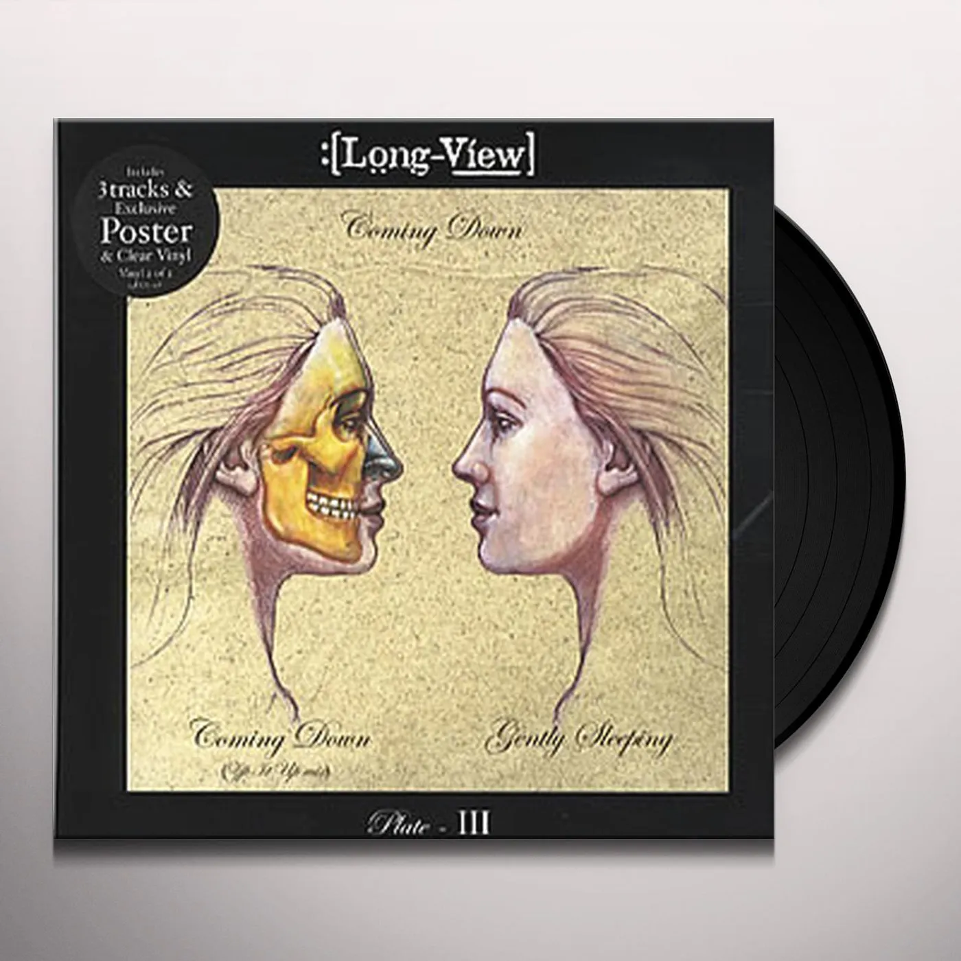 Long-view COMING DOWN Vinyl Record