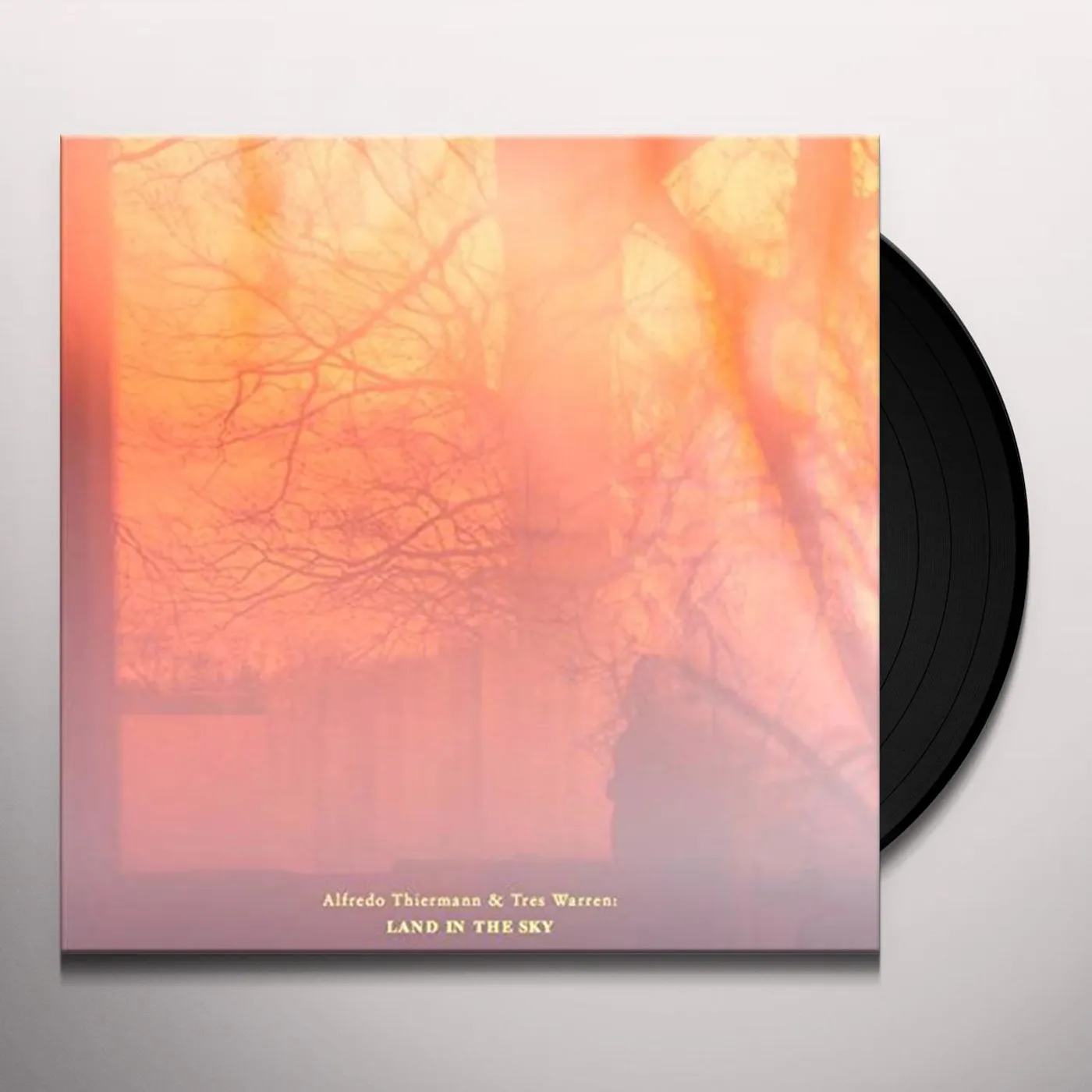 Dabrye LAND IN THE SKY Vinyl Record