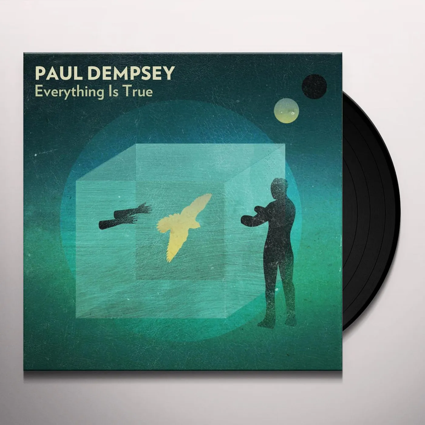 Paul Dempsey Everything Is True Vinyl Record