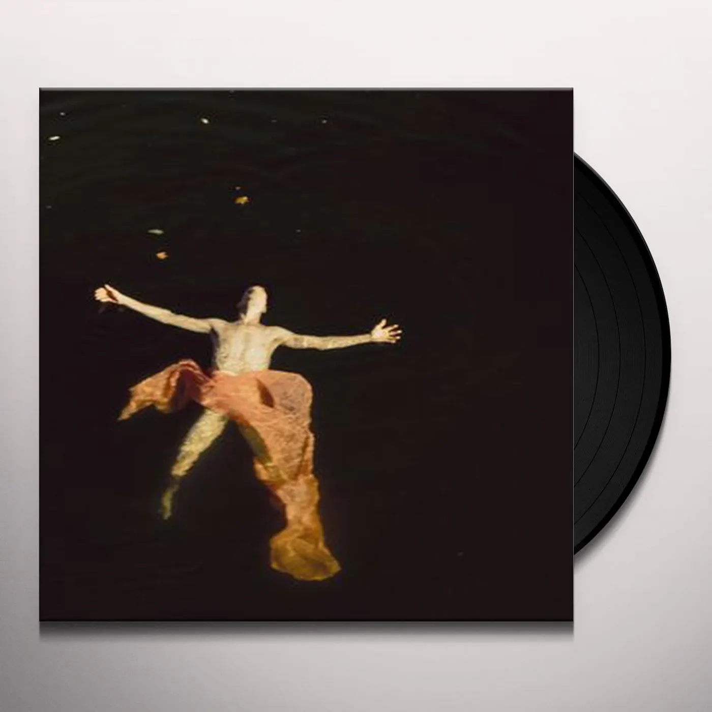 TR/ST DESTROYER - 1 Vinyl Record