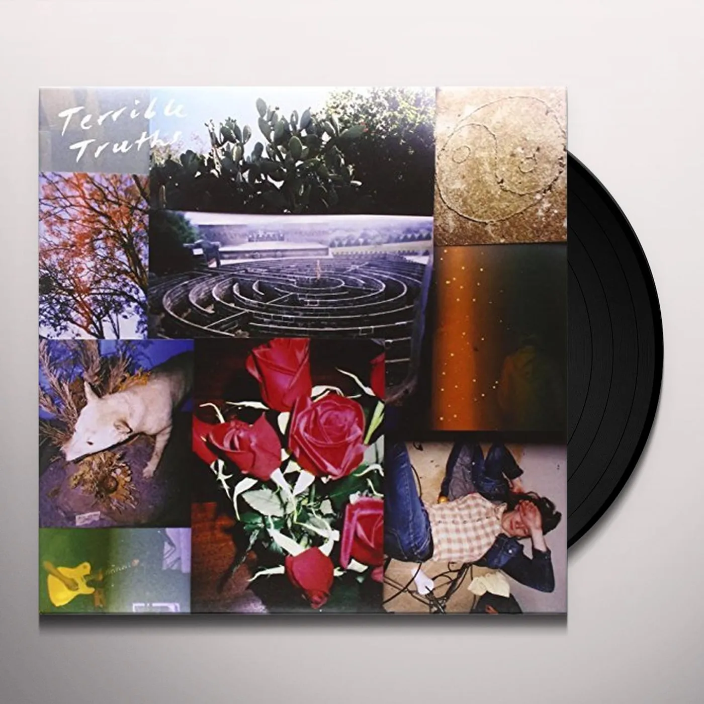 Terrible Truths Vinyl Record