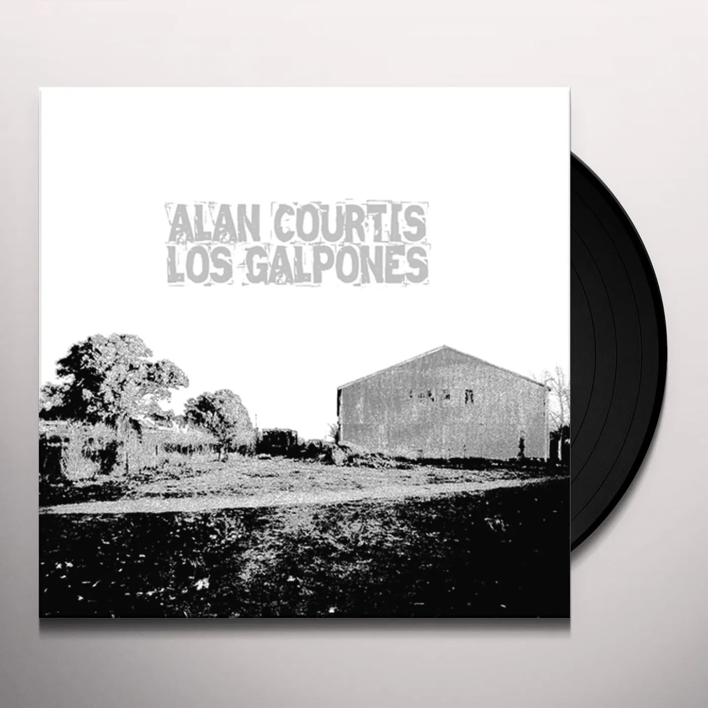 Alan Courtis Los Galpones Vinyl Record