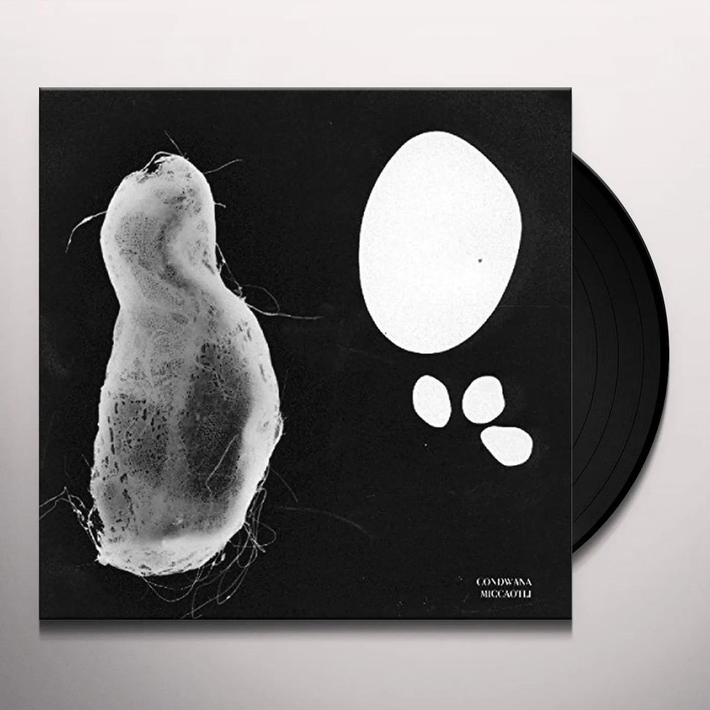 Gondwana MICCAOTLI Vinyl Record