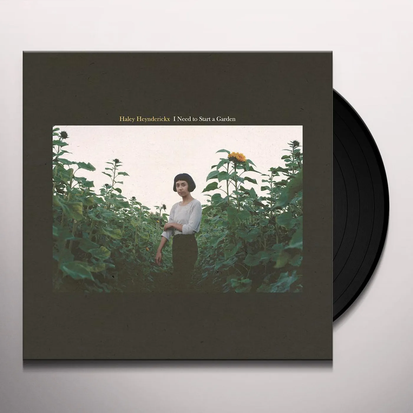 Haley Heynderickx I Need To Start A Garden Vinyl Record