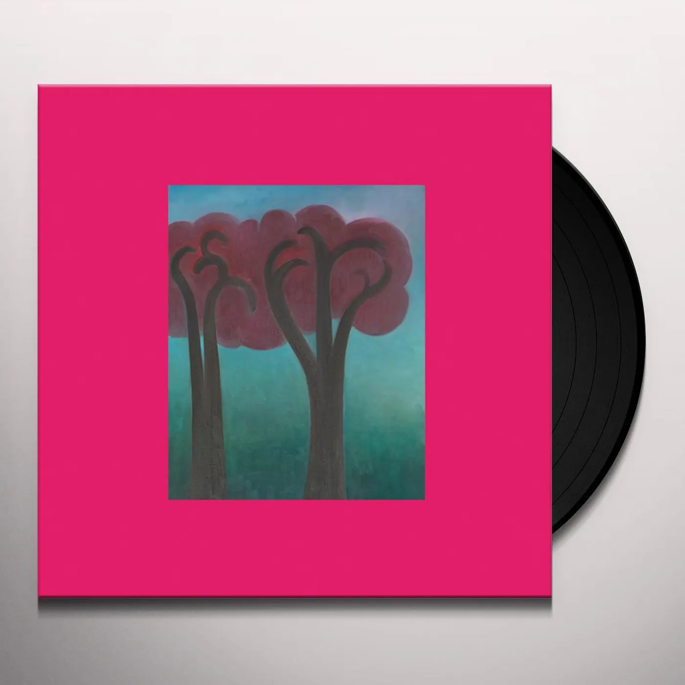 Andre Ethier Croak in the Weeds Vinyl Record