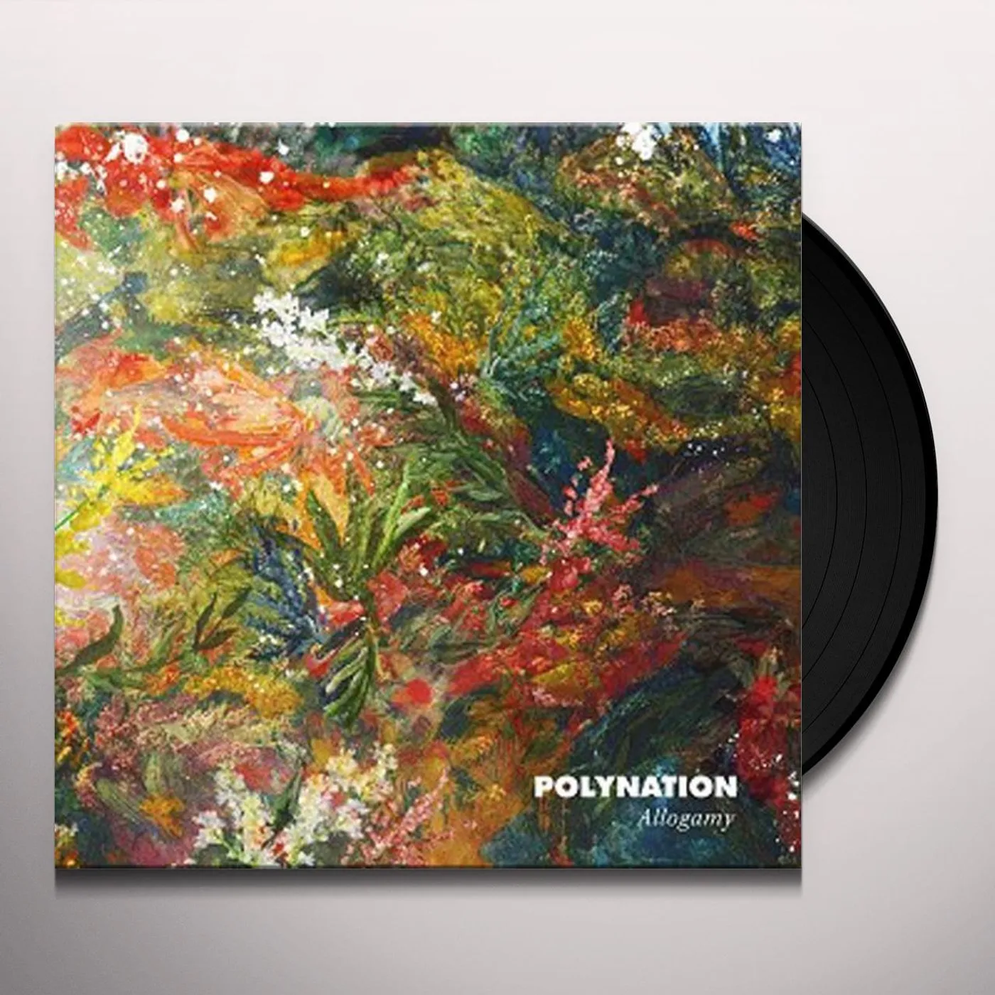 Polynation Allogamy Vinyl Record