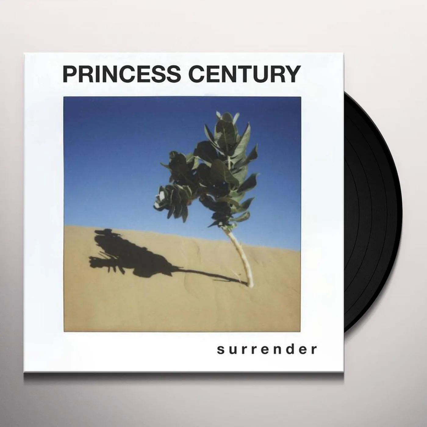 Princess Century Surrender Vinyl Record