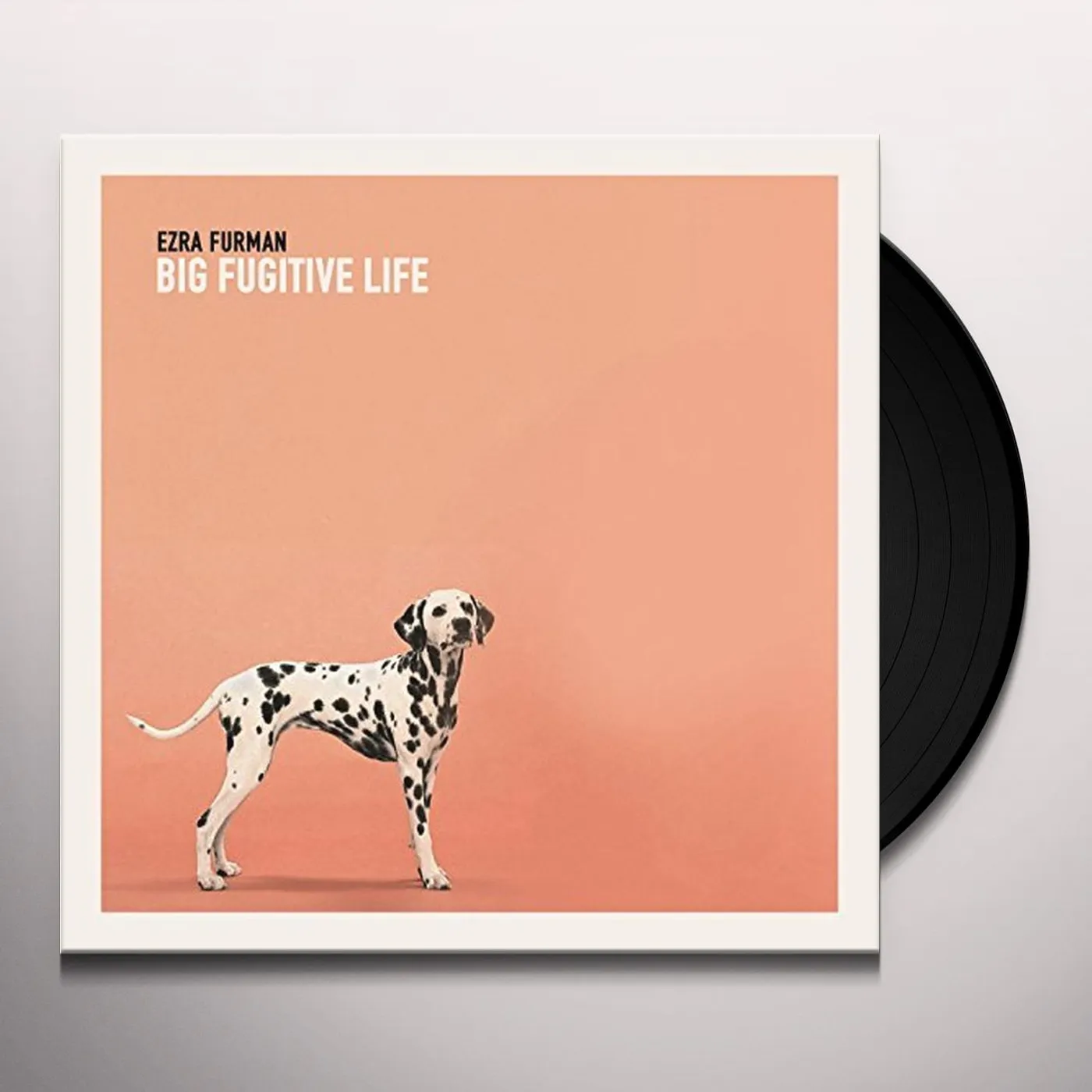 Ezra Furman FUGITIVE Vinyl Record