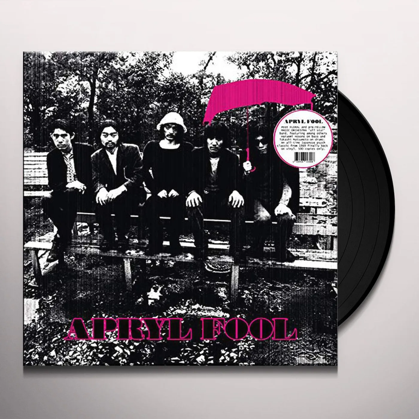 The Apryl Fool Vinyl Record