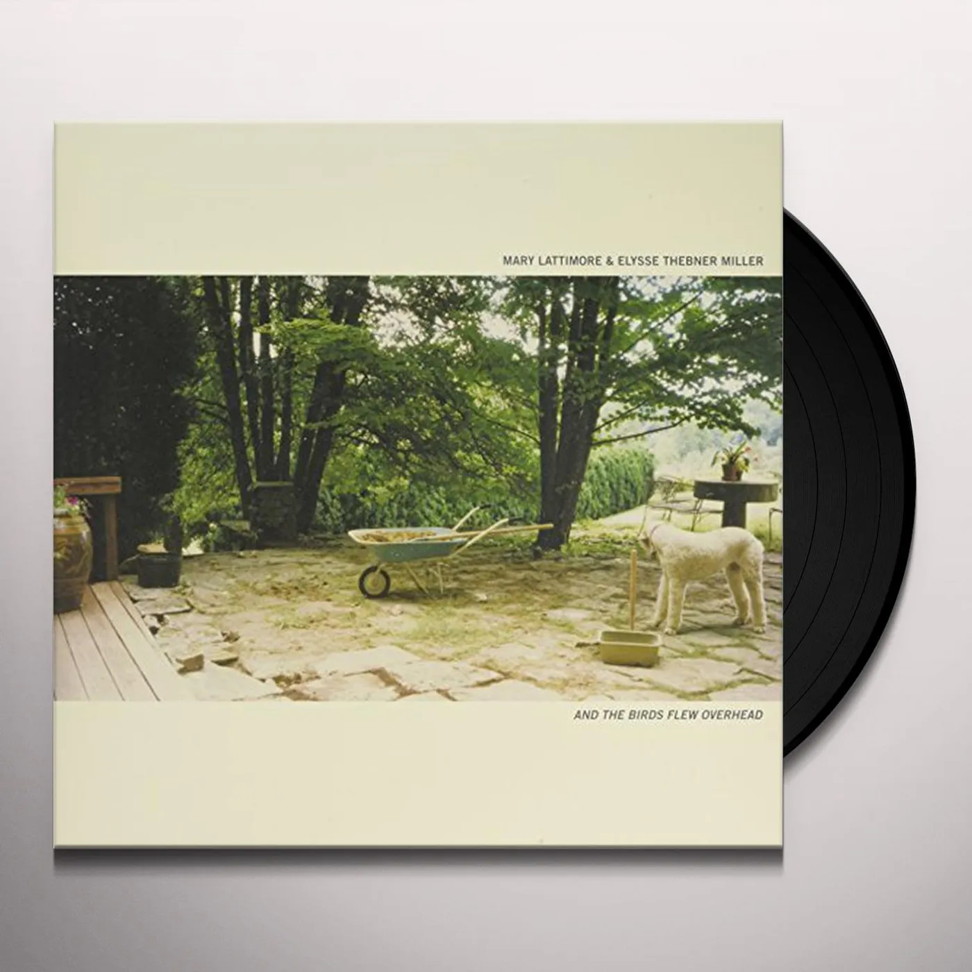 Mary Lattimore / Elysse Thebner Miller AND THE BIRDS FLEW OVERHEAD Vinyl Record